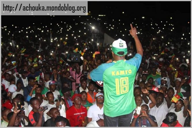 Article : La r&eacute;volution des abeilles