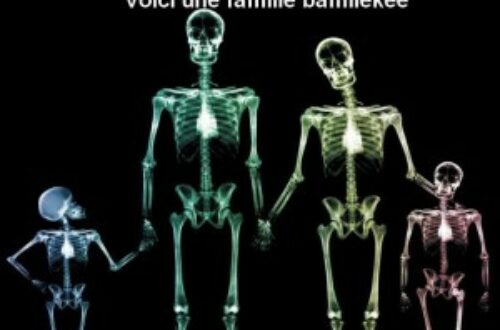 Article : Radioscopie du tribalisme à la camerounaise