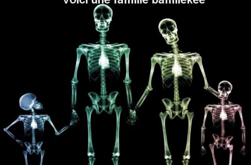 Article : Radioscopie du tribalisme à la camerounaise
