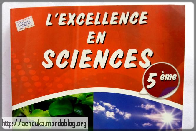 Article : La soci&eacute;t&eacute; camerounaise pornographique !