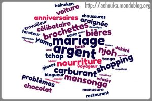 Article : Le dictionnaire &laquo;&nbsp;Camerounaise&nbsp;&raquo; des mots-cl&eacute;s