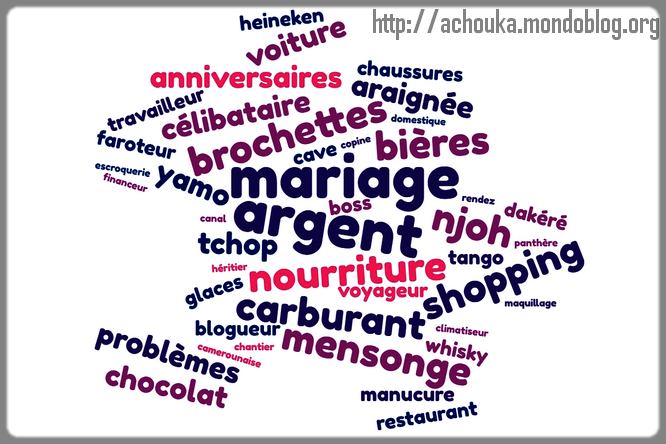 Article : Le dictionnaire &laquo;&nbsp;Camerounaise&nbsp;&raquo; des mots-cl&eacute;s