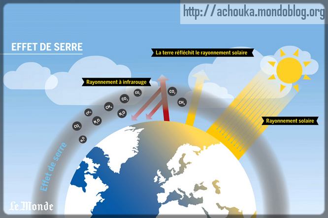 Article : Le r&eacute;chauffement climatique pour les nuls