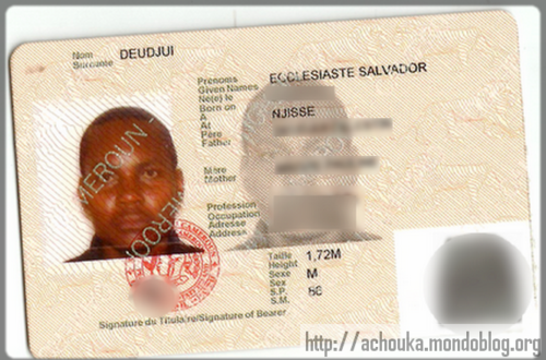 Article : [VIDÉO] Comment obtenir la carte d’identité au Cameroun ?