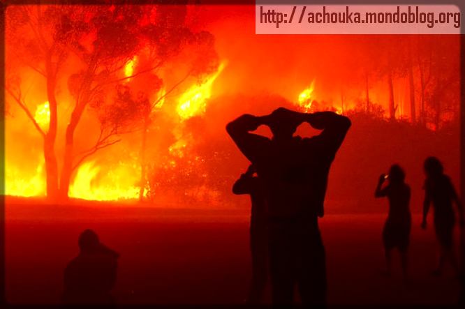 Article : Pourquoi y a-t-il autant d&rsquo;incendies au Cameroun ?