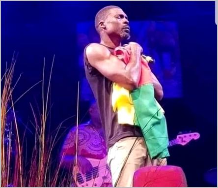 Valsero en concert avec le drapeau du Cameroun
