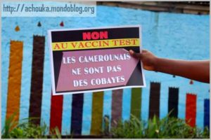 Article : La &laquo; colle &raquo; de l&rsquo;ut&eacute;rus