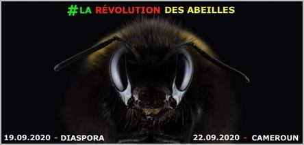 visuel de la révolution des abeilles au Cameroun