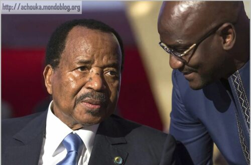 Article : Les Camerounais n’ont que le président qu’ils méritent…