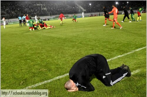 Article : L’épineux problème du match Cameroun-Algérie